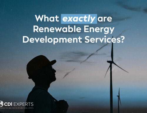 What exactly are Renewable Energy Development Services?